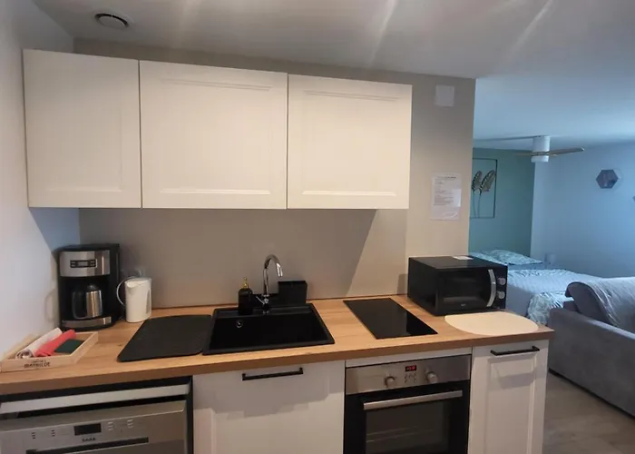 Apartament Le Petit Nid Douillet Grignon (Savoie)